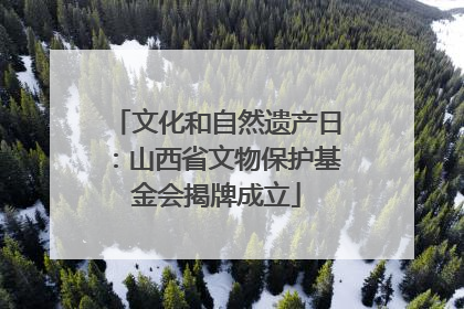 文化和自然遗产日：山西省文物保护基金会揭牌成立