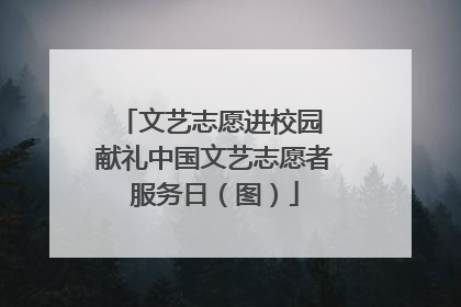 文艺志愿进校园 献礼中国文艺志愿者服务日（图）