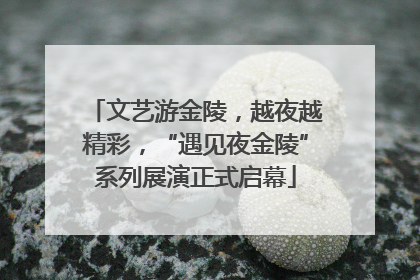 文艺游金陵，越夜越精彩，“遇见夜金陵”系列展演正式启幕