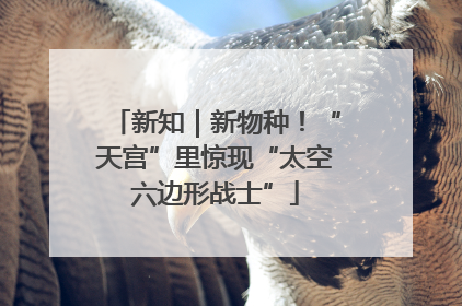 新知｜新物种！“天宫”里惊现“太空六边形战士”