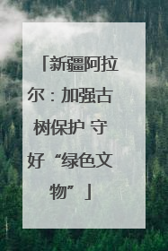 新疆阿拉尔：加强古树保护 守好“绿色文物”