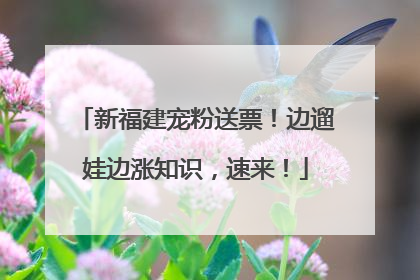 新福建宠粉送票！边遛娃边涨知识，速来！