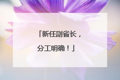 新任副省长，分工明确！