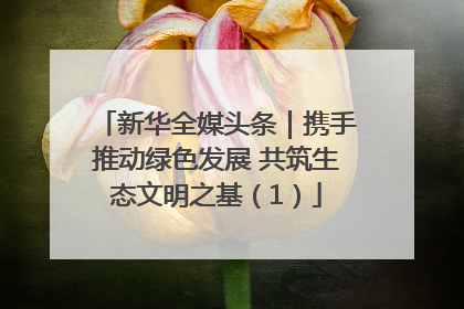 新华全媒头条｜携手推动绿色发展 共筑生态文明之基（1）