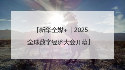 新华全媒+｜2025全球数字经济大会开幕