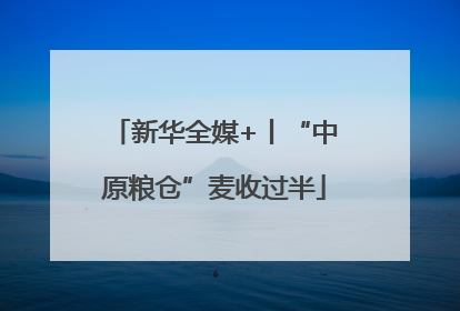 新华全媒+丨“中原粮仓”麦收过半