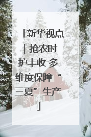 新华视点｜抢农时 护丰收 多维度保障“三夏”生产
