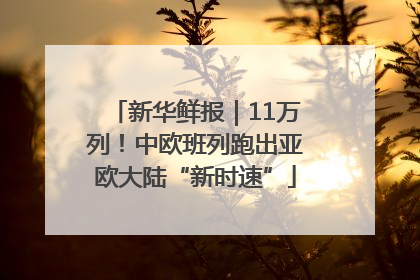 新华鲜报｜11万列！中欧班列跑出亚欧大陆“新时速”