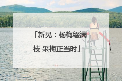 新晃：杨梅缀满枝 采梅正当时