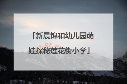 新晨锦和幼儿园萌娃探秘莲花街小学