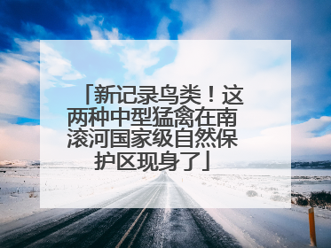 新记录鸟类！这两种中型猛禽在南滚河国家级自然保护区现身了