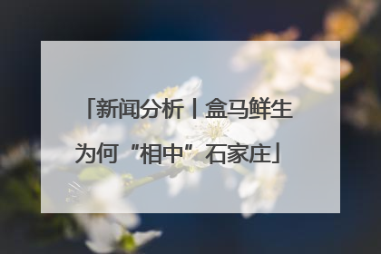 新闻分析丨盒马鲜生为何“相中”石家庄