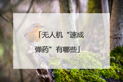 无人机“速成弹药”有哪些