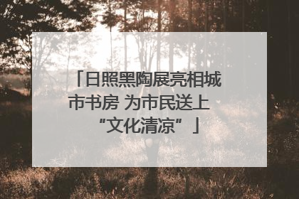 日照黑陶展亮相城市书房 为市民送上“文化清凉”