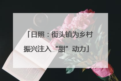 日照：街头镇为乡村振兴注入“甜”动力