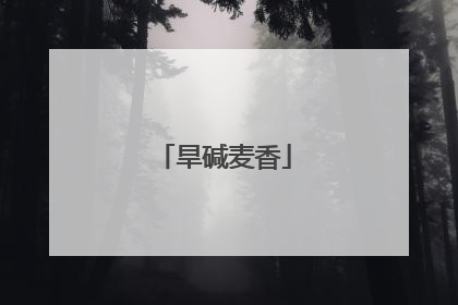 旱碱麦香