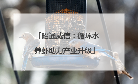 昭通威信：循环水养虾助力产业升级