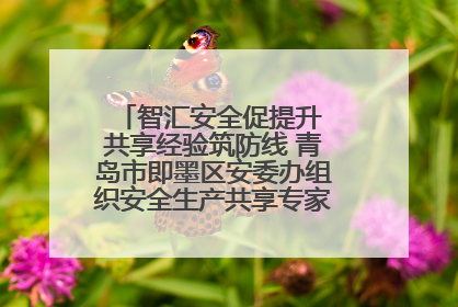 智汇安全促提升 共享经验筑防线 青岛市即墨区安委办组织安全生产共享专家现场观摩学习活动