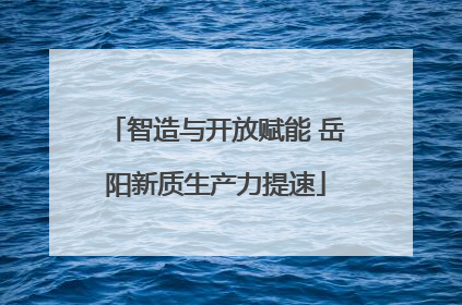 智造与开放赋能 岳阳新质生产力提速