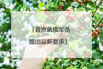 普京就俄军备提出最新要求