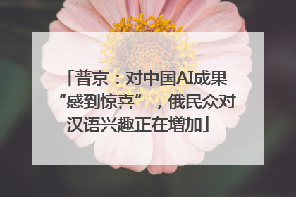 普京：对中国AI成果“感到惊喜”，俄民众对汉语兴趣正在增加