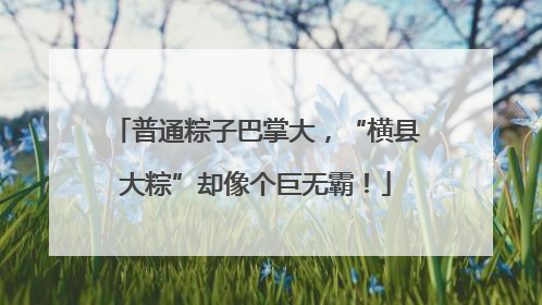 普通粽子巴掌大，“横县大粽”却像个巨无霸！