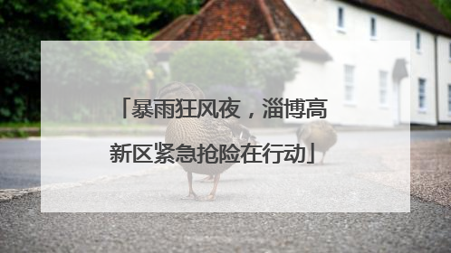 暴雨狂风夜，淄博高新区紧急抢险在行动
