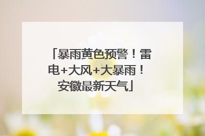 暴雨黄色预警！雷电+大风+大暴雨！安徽最新天气