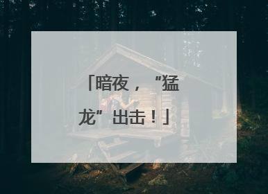 暗夜，“猛龙”出击！
