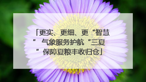 更实、更细、更“智慧” 气象服务护航“三夏”保障夏粮丰收归仓