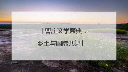 曹庄文学盛典：乡土与国际共舞