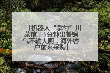 机器人“掌勺”川菜馆，5分钟出餐锅气不输大厨，海外客户前来采购