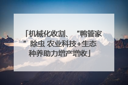 机械化收割、“鸭管家”除虫 农业科技+生态种养助力增产增收