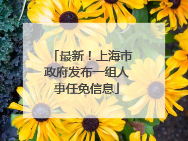 最新！上海市政府发布一组人事任免信息