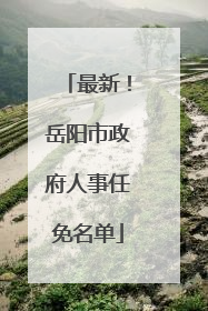 最新！岳阳市政府人事任免名单