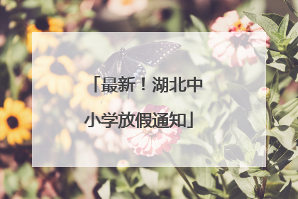 最新！湖北中小学放假通知