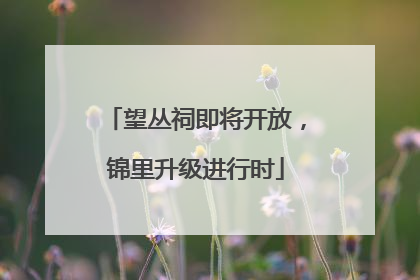 望丛祠即将开放，锦里升级进行时