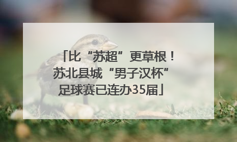 比“苏超”更草根！苏北县城“男子汉杯”足球赛已连办35届