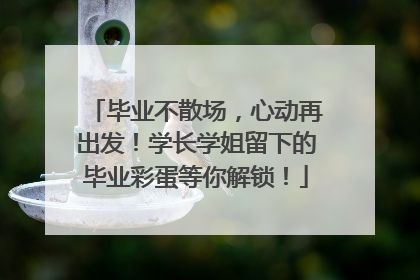 毕业不散场，心动再出发！学长学姐留下的毕业彩蛋等你解锁！