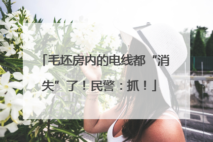 毛坯房内的电线都“消失”了！民警：抓！