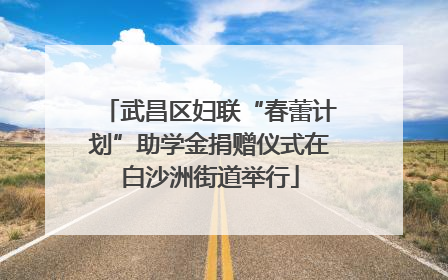 武昌区妇联“春蕾计划”助学金捐赠仪式在白沙洲街道举行
