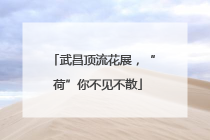 武昌顶流花展，“荷”你不见不散