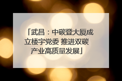 武昌：中碳登大厦成立楼宇党委 推进双碳产业高质量发展
