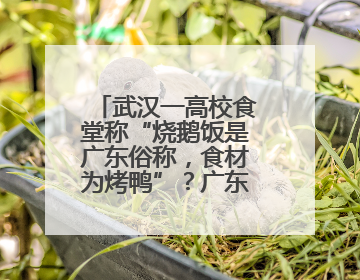 武汉一高校食堂称“烧鹅饭是广东俗称，食材为烤鸭”？广东多家烧鹅店：鸭是鸭鹅是鹅