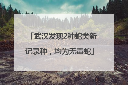 武汉发现2种蛇类新记录种，均为无毒蛇