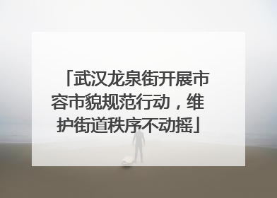 武汉龙泉街开展市容市貌规范行动，维护街道秩序不动摇