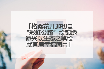 格桑花开迎初夏 “彩虹公路”绘锦绣 德兴以生态之笔绘就宜居幸福图景