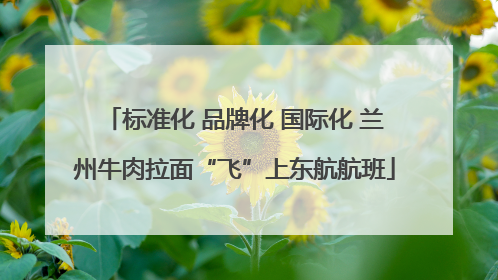 标准化 品牌化 国际化 兰州牛肉拉面“飞”上东航航班