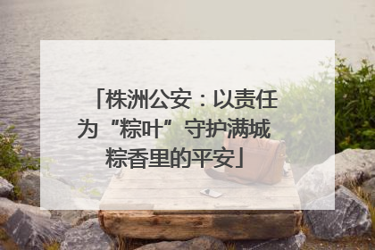 株洲公安：以责任为“粽叶”守护满城粽香里的平安
