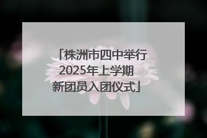 株洲市四中举行2025年上学期新团员入团仪式